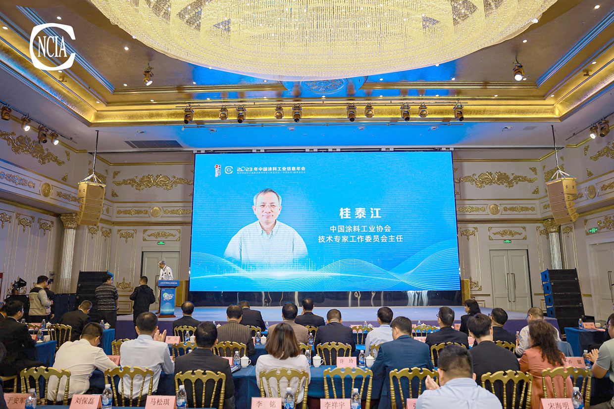 中國涂料工業(yè)協(xié)會技術(shù)專家工作委員會主任桂泰江主持會議